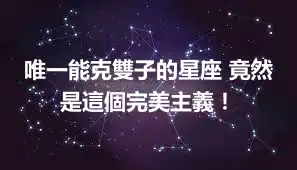 唯一能克雙子的星座 竟然是這個完美主義！