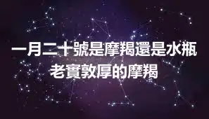 一月二十號是摩羯還是水瓶  老實敦厚的摩羯