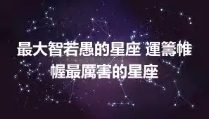 最大智若愚的星座 運籌帷幄最厲害的星座