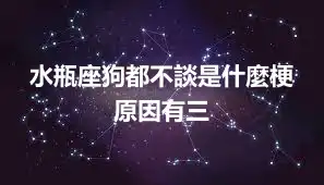 水瓶座狗都不談是什麼梗  原因有三