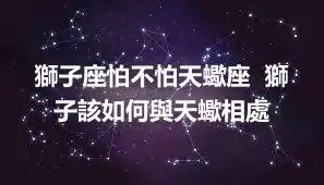獅子座怕不怕天蠍座  獅子該如何與天蠍相處