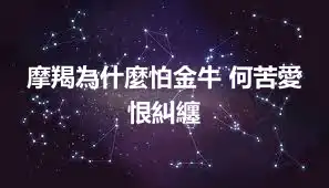 摩羯為什麼怕金牛 何苦愛恨糾纏