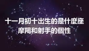 十一月初十出生的是什麼座  摩羯和射手的個性