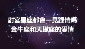 對宮星座都會一見鍾情嗎  金牛座和天蠍座的愛情