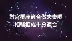 對宮星座適合做夫妻嗎  相輔相成十分適合