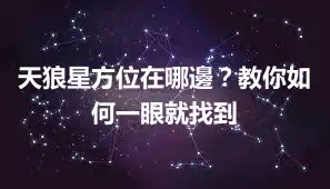 天狼星方位在哪邊？教你如何一眼就找到