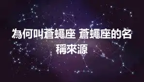 為何叫蒼蠅座 蒼蠅座的名稱來源