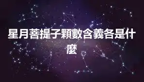 星月菩提子顆數含義各是什麼