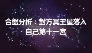 合盤分析：對方冥王星落入自己第十一宮
