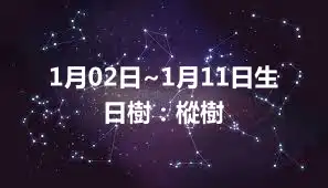 1月02日~1月11日生日樹：樅樹