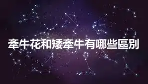 牽牛花和矮牽牛有哪些區別