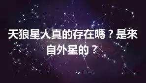 天狼星人真的存在嗎？是來自外星的？
