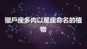 獵戶座多肉以星座命名的植物