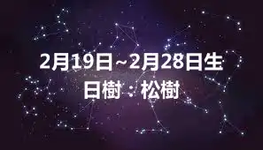2月19日~2月28日生日樹：松樹