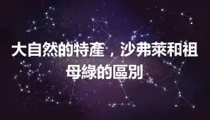 大自然的特產，沙弗萊和祖母綠的區別