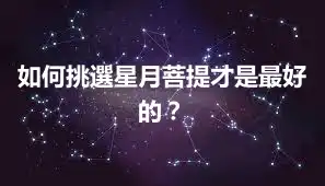 如何挑選星月菩提才是最好的？