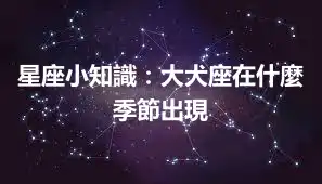 星座小知識：大犬座在什麼季節出現