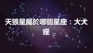 天狼星屬於哪個星座：大犬座