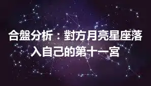 合盤分析：對方月亮星座落入自己的第十一宮