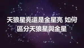 天狼星亮還是金星亮 如何區分天狼星與金星