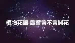 植物花語 蘆薈會不會開花