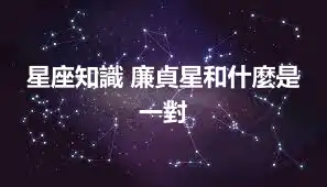 星座知識 廉貞星和什麼是一對