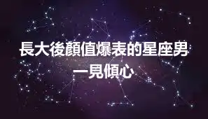 長大後顏值爆表的星座男  一見傾心
