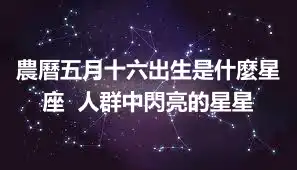 農曆五月十六出生是什麼星座  人群中閃亮的星星