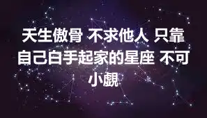 天生傲骨 不求他人 只靠自己白手起家的星座 不可小覷