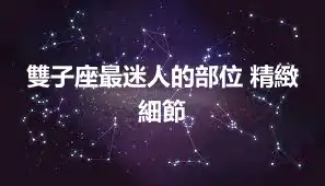 雙子座最迷人的部位 精緻細節
