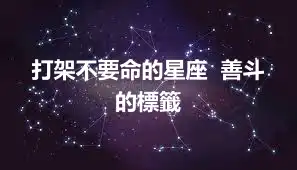 打架不要命的星座  善斗的標籤