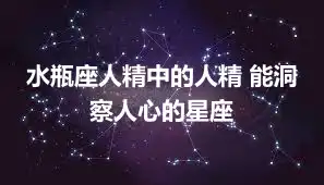 水瓶座人精中的人精 能洞察人心的星座