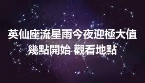 英仙座流星雨今夜迎極大值 幾點開始 觀看地點