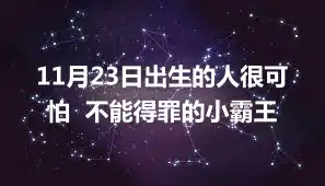 11月23日出生的人很可怕  不能得罪的小霸王