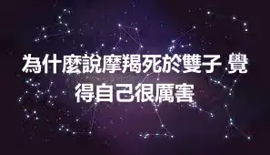 為什麼說摩羯死於雙子 覺得自己很厲害