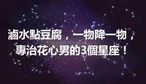 滷水點豆腐，一物降一物，專治花心男的3個星座！