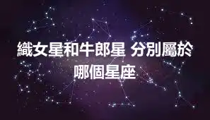 織女星和牛郎星 分別屬於哪個星座