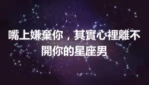 嘴上嫌棄你，其實心裡離不開你的星座男