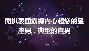 開扒表面霸總內心超慫的星座男，典型的直男