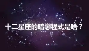 十二星座的暗戀程式是啥？