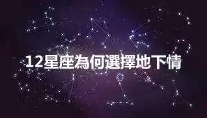 12星座為何選擇地下情