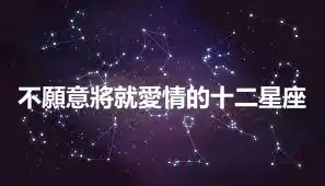 不願意將就愛情的十二星座