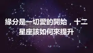 緣分是一切愛的開始，十二星座該如何來提升