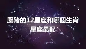 屬豬的12星座和哪個生肖星座最配
