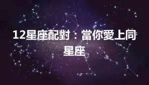 12星座配對：當你愛上同星座