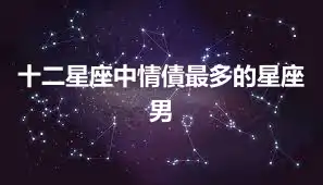 十二星座中情債最多的星座男