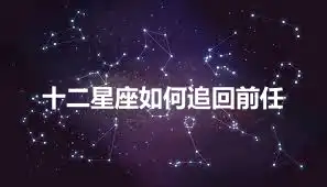 十二星座如何追回前任
