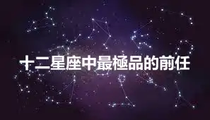 十二星座中最極品的前任