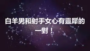 白羊男和射手女心有靈犀的一對！