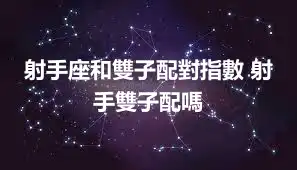 射手座和雙子配對指數 射手雙子配嗎